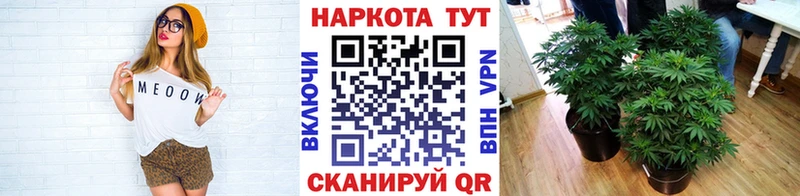 Наркота Кашира Каннабис A-PVP ГАШИШ