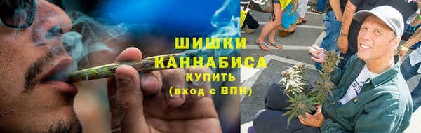 индика Новозыбков
