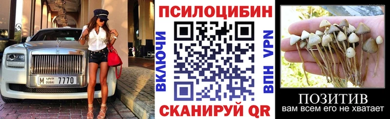 Галлюциногенные грибы MAGIC MUSHROOMS Кашира